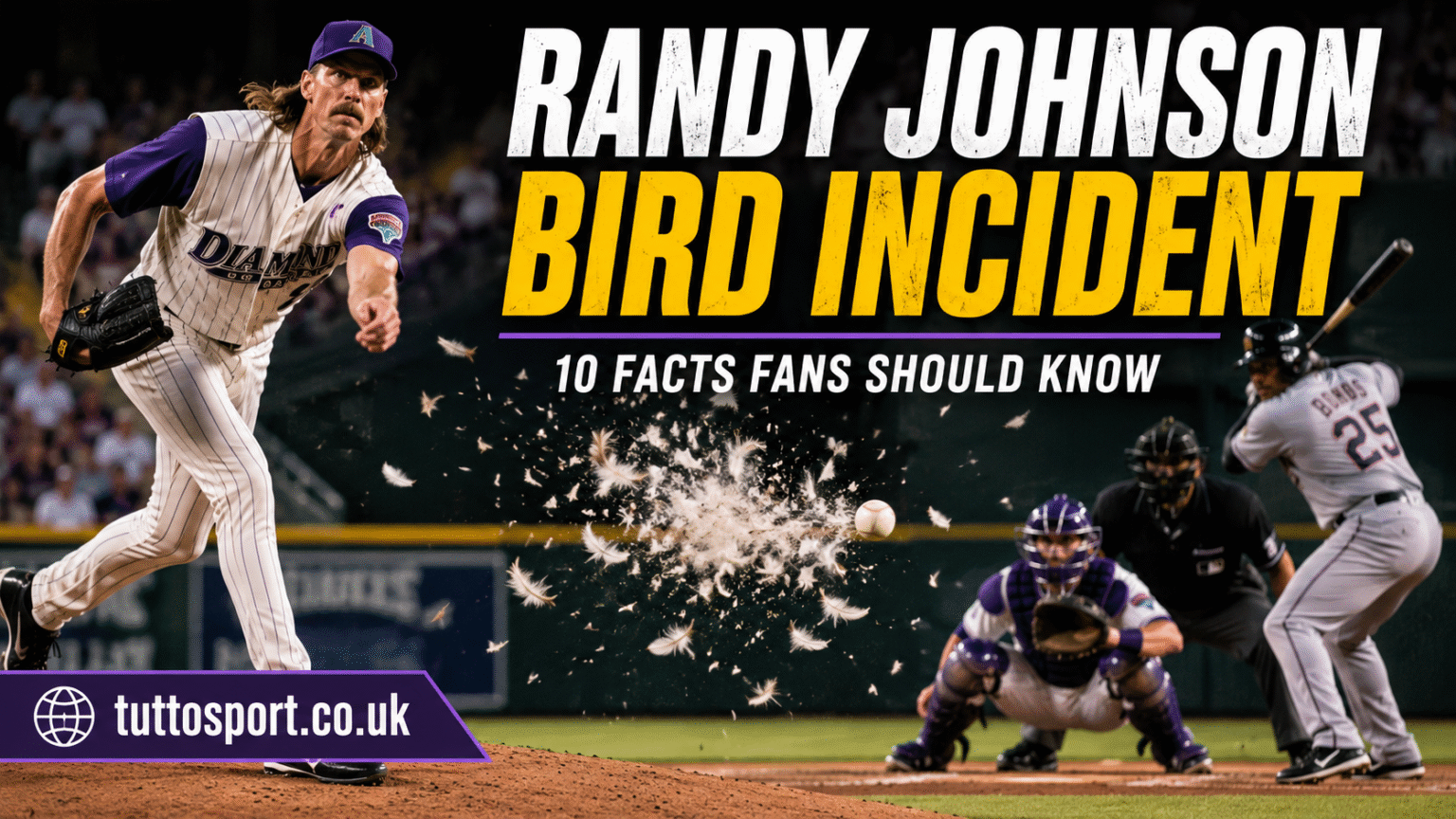 Randy Johnson Bird Incident